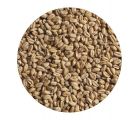 Солод пшеничный Wheat EBC 4-6 (Viking Malt) 1 кг